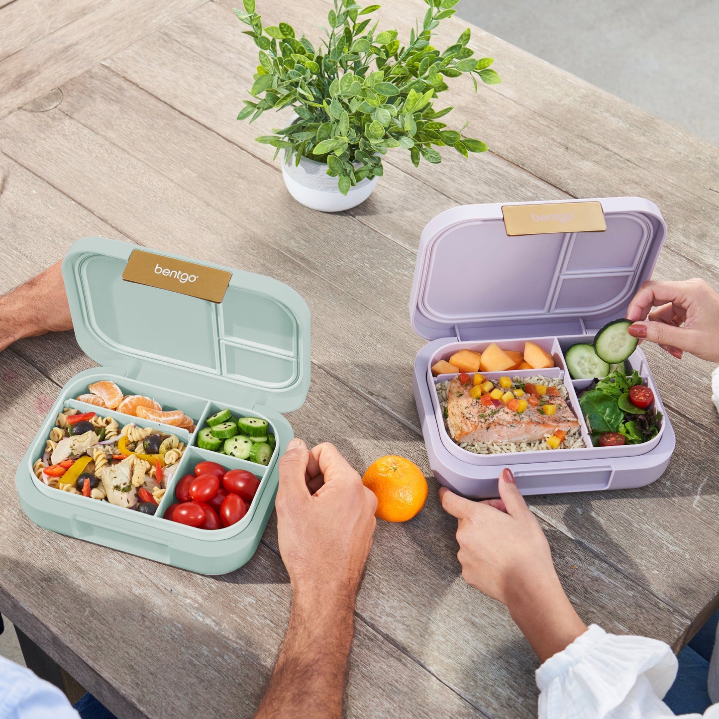 bentgo-modern-lunch-box-2-pack-b4 COSTCOBMCPRODUCTIMAGE_2.jpg